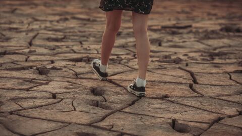 Las sequías y olas de calor se disparan: su frecuencia se multiplicará por cinco este siglo Las sequías y olas de calor se disparan: su frecuencia se multiplicará por cinco este siglo