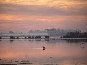 Do&ntilde;ana presume de poseer el inventario m&aacute;s completo de vertebrados en Espa&ntilde;a gracias a un reciente informe del CSIC