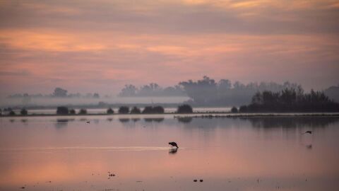 Do&ntilde;ana presume de poseer el inventario m&aacute;s completo de vertebrados en Espa&ntilde;a gracias a un reciente informe del CSIC