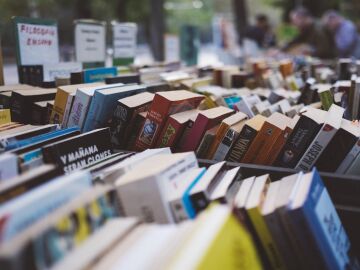Lectura terap&eacute;utica; el refugio mental para resetear el cerebro frente al estr&eacute;s digital