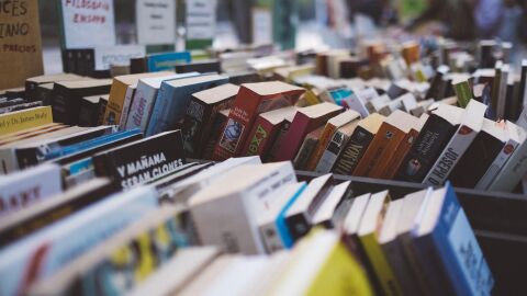 Lectura terap&eacute;utica; el refugio mental para resetear el cerebro frente al estr&eacute;s digital