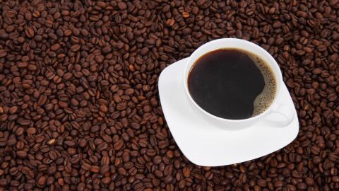 El secreto que esconde el caf&eacute; contra los a&ntilde;os, descubren la v&iacute;a biol&oacute;gica que frena el envejecimiento celular