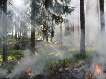 Los incendios forestales se intensifican en el sur de Europa por el calor extremo, el viento y las imprudencias humanas Los incendios forestales se intensifican en el sur de Europa por el calor extremo, el viento y las imprudencias humanas