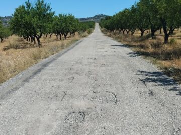 La carretera que da acceso a Casas de Juan Qu&iacute;lez se encuentra en una situaci&oacute;n precaria.