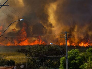 Podemos predecir un incendio con hasta 16 días de antelación gracias a la creación de una nueva herramienta de IA Podemos predecir un incendio con hasta 16 días de antelación gracias a la creación de una nueva herramienta de IA