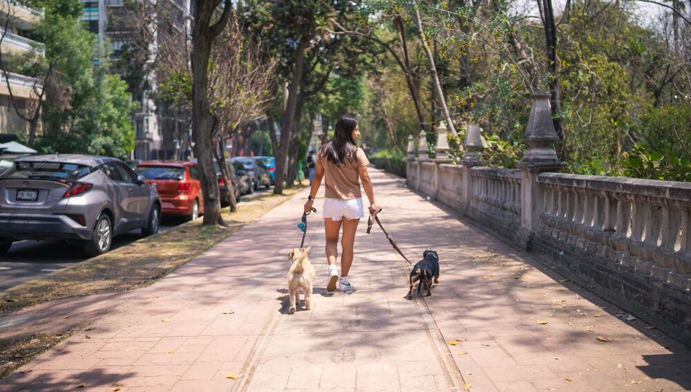 La vuelta a la rutina no necesita dietas drásticas La vuelta a la rutina no necesita dietas drásticas