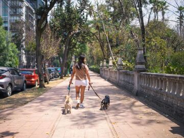 La vuelta a la rutina no necesita dietas drásticas La vuelta a la rutina no necesita dietas drásticas