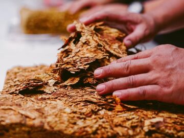 El tabaco de mascar caus&oacute; 251.000 muertes en el mundo en 2023, el 84 % concentradas en el sur de Asia