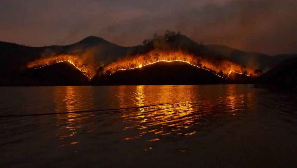 Los incendios ya han arrasado más de 300.000 hectáreas en España Los incendios en España