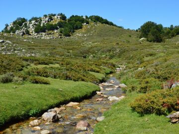 La COP17 busca acelerar la protección mundial de la biodiversidad antes de 2030 La COP17 busca acelerar la protección mundial de la biodiversidad antes de 2030