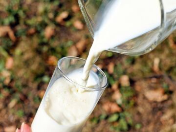 Los lácteos como el yogur ganan presencia en la pirámide infantil y juvenil de la dieta mediterránea Los lácteos como el yogur ganan presencia en la pirámide infantil y juvenil de la dieta mediterránea